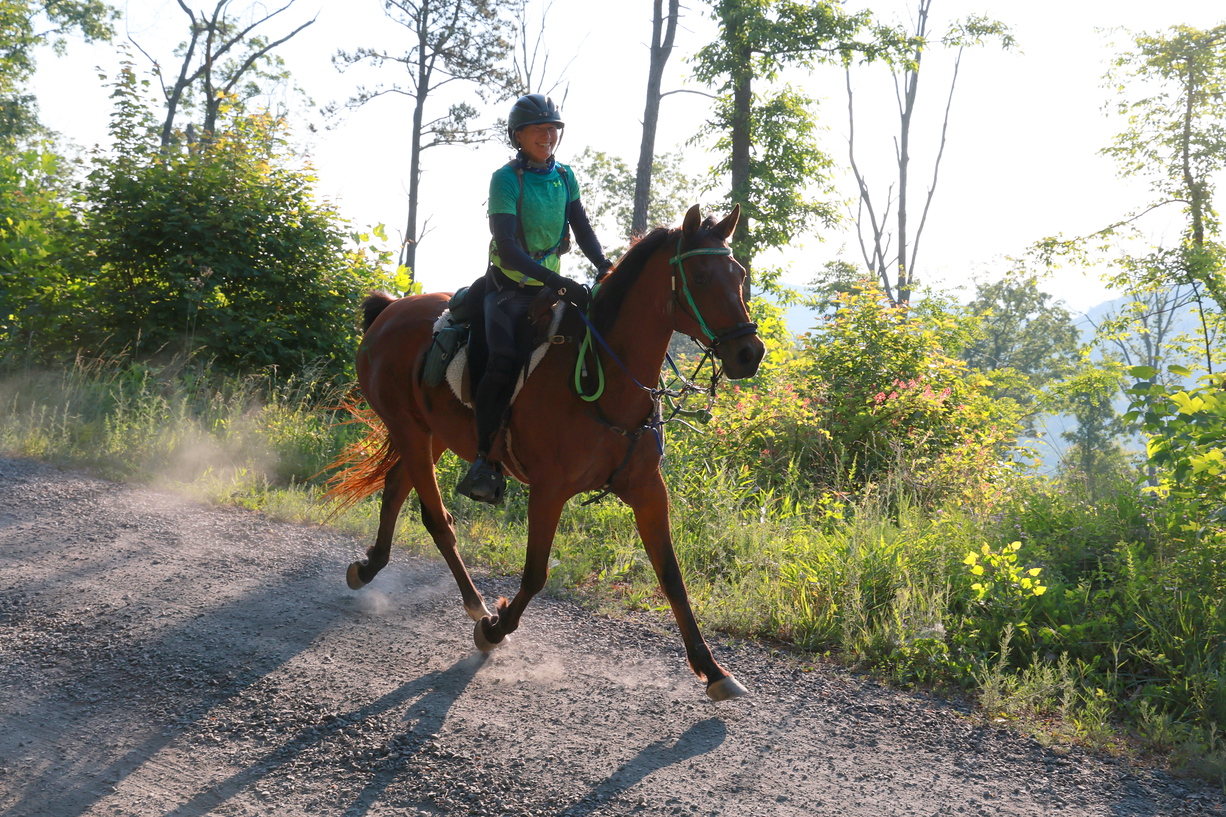 Horse of Distinction 2022: Bubba